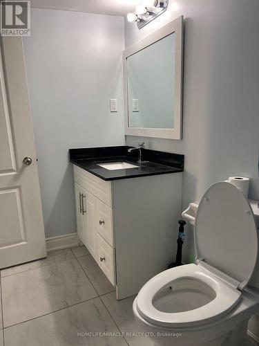 Lower - 90 Cordgrass Crescent, Brampton, ON - Indoor Photo Showing Bathroom