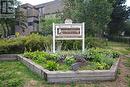 252 - 2095 Roche Court, Mississauga, ON  - Outdoor 