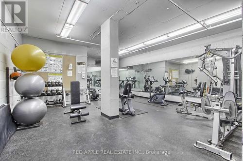 207 - 260 Davis Drive, Newmarket, ON - Indoor Photo Showing Gym Room