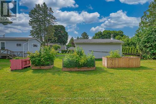 6 Hillview Drive, Port Hope, ON - Outdoor