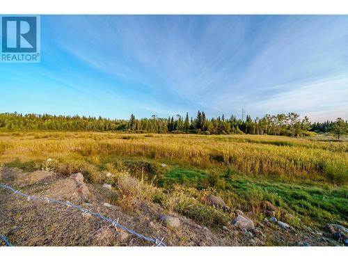 3240 Maze-Forbes Fs Road, Lac La Hache, BC - Outdoor With View