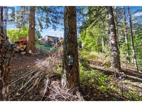 2881 5 Avenue Se, Salmon Arm, BC - Outdoor