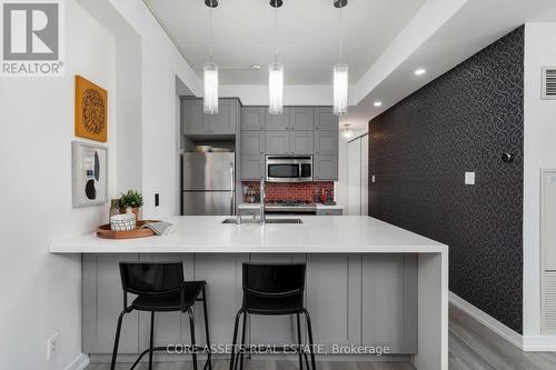 1002 - 127 Queen Street E, Toronto (Church-Yonge Corridor), ON - Indoor Photo Showing Kitchen With Upgraded Kitchen