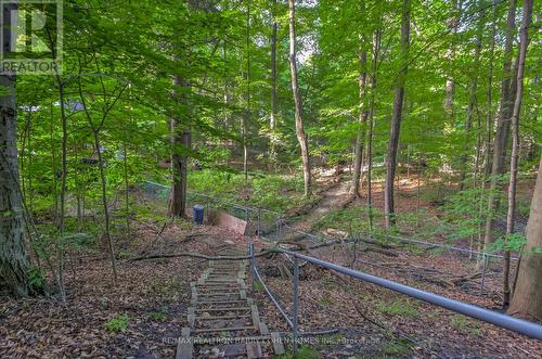 17 Artinger Court, Toronto (Banbury-Don Mills), ON - Outdoor With View