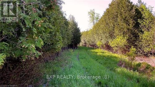 557329 4Th S, Meaford, ON 