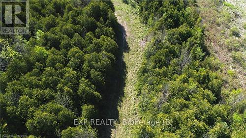 557329 4Th S, Meaford, ON 