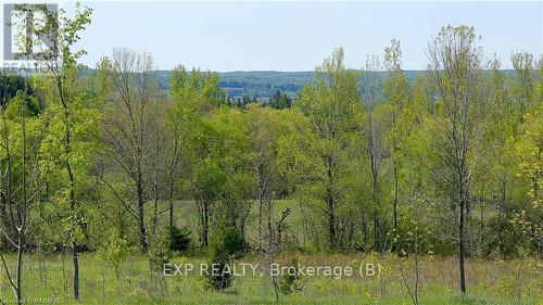 557329 4Th S, Meaford, ON 