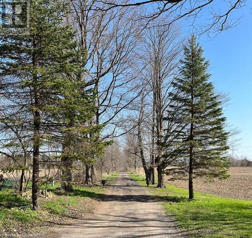 1457 97 Regional Road, Flamborough, ON - Outdoor With View