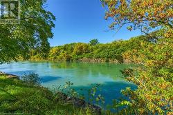 Summer canal view - 