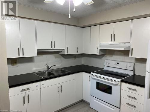 266 Overlea Drive Unit# 302, Kitchener, ON - Indoor Photo Showing Kitchen With Double Sink