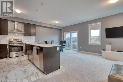 33 Pinot Crescent, Hamilton, ON - Indoor Photo Showing Kitchen With Double Sink