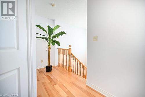 543 John Street N, Hamilton, ON - Indoor Photo Showing Other Room