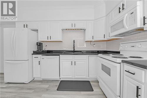 256 Wellington Street N, Hamilton, ON - Indoor Photo Showing Kitchen With Double Sink