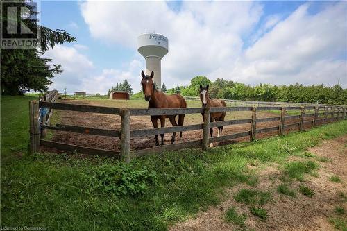 345 Freelton Road, Hamilton, ON - Outdoor