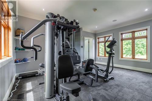 2659 2 Side Road, Burlington, ON - Indoor Photo Showing Gym Room