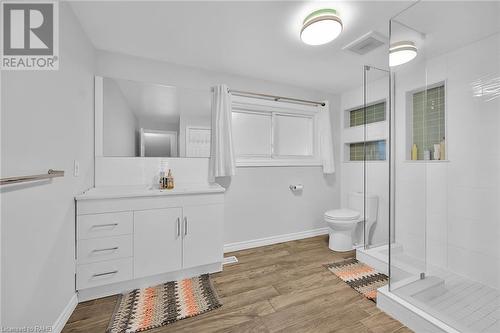 23 Cherrywood Drive, Stoney Creek, ON - Indoor Photo Showing Bathroom