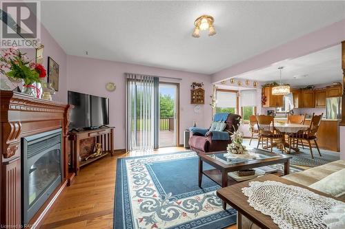 2808 Dominion Road, Ridgeway, ON - Indoor Photo Showing Living Room With Fireplace