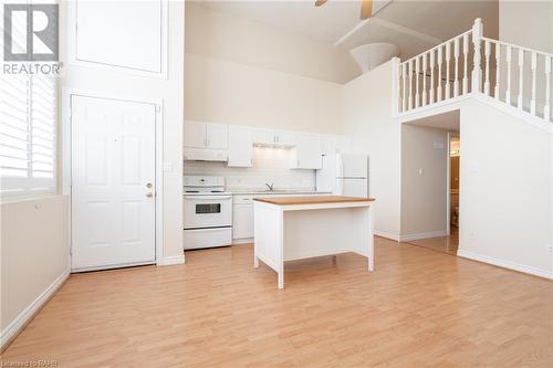 111 Grey Street Unit# 102, Brantford, ON - Indoor Photo Showing Kitchen