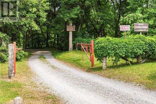 Steps to Brook Conservation Area. - 47 Simson Avenue, Simcoe, ON - Outdoor