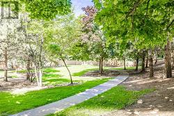 Nature path outside of building - 