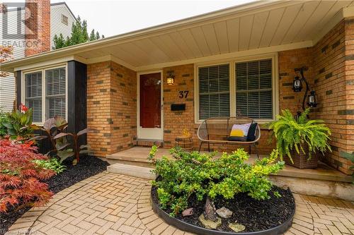 37 Mary Street, St. Catharines, ON - Outdoor With Deck Patio Veranda