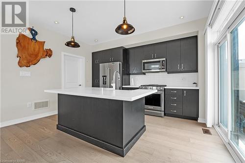 117 Hibiscus Lane, Hamilton, ON - Indoor Photo Showing Kitchen With Upgraded Kitchen