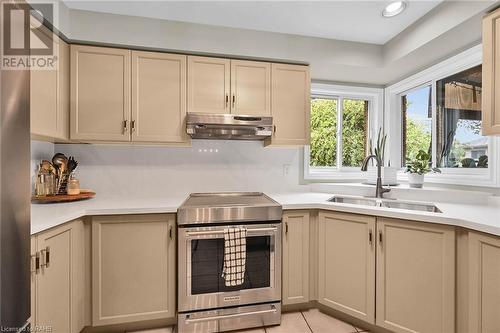 46 Redtail Crescent, Hamilton, ON - Indoor Photo Showing Kitchen With Double Sink