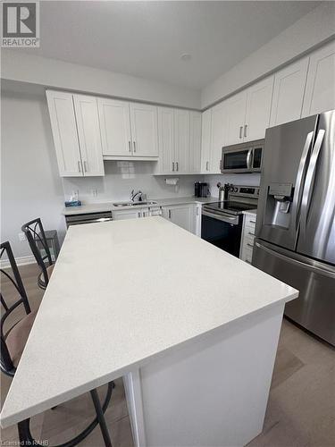 Kitchen - 166 Mount Albion Road Unit# 1, Hamilton, ON - Indoor Photo Showing Kitchen With Double Sink