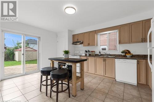 24 Gershwin Court, Hamilton, ON - Indoor Photo Showing Kitchen With Double Sink