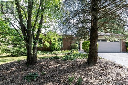 19 Isabel Drive, Brantford, ON - Outdoor