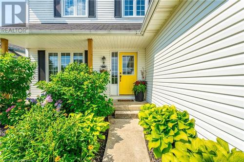 25 Morgan Drive, Caledonia, ON - Outdoor With Deck Patio Veranda