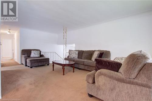 47 Jasmine Street, Hamilton, ON - Indoor Photo Showing Living Room