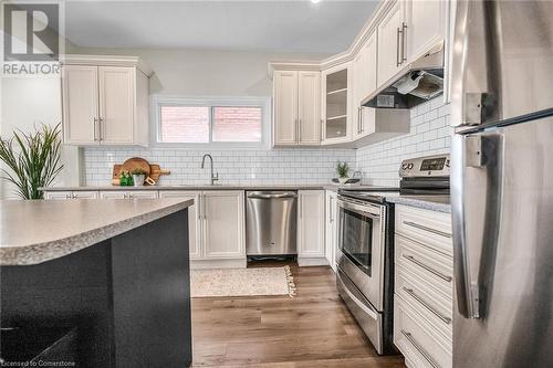 248 Murray Street, Brantford, ON - Indoor Photo Showing Kitchen With Stainless Steel Kitchen With Upgraded Kitchen