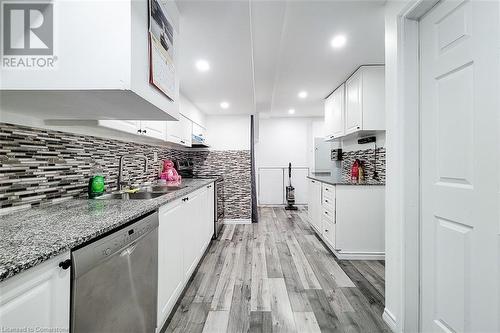 313 Fennell Avenue E, Hamilton, ON - Indoor Photo Showing Kitchen With Double Sink