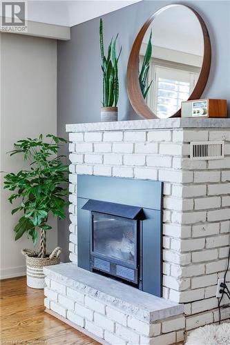 27 Collier Crescent, Hamilton, ON - Indoor With Fireplace