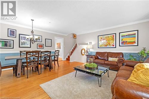 3 Palmerston Place, Hamilton, ON - Indoor Photo Showing Living Room