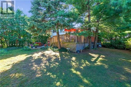 3 Palmerston Place, Hamilton, ON - Outdoor With Backyard