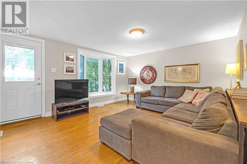 3 Palmerston Place, Hamilton, ON - Indoor Photo Showing Living Room