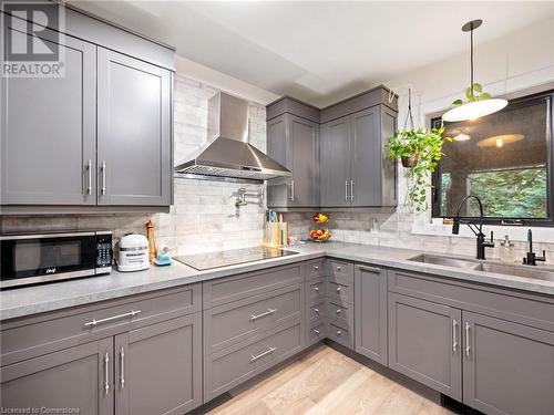 Kitchen in upper unit (2nd flr). Quartz countertops! - 213 Caroline Street S, Hamilton, ON - Indoor Photo Showing Kitchen With Double Sink