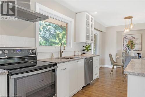 20 Geneva Drive, Hamilton, ON - Indoor Photo Showing Kitchen With Double Sink