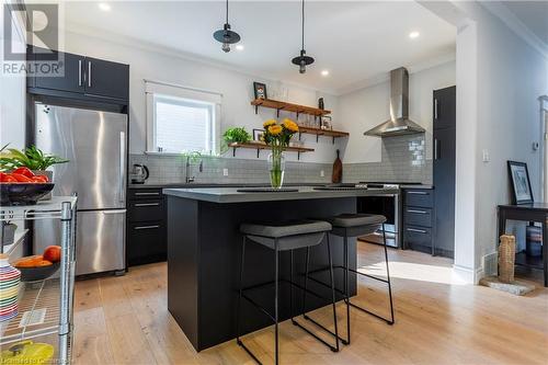 102 Alma Street, Hamilton, ON - Indoor Photo Showing Kitchen With Upgraded Kitchen