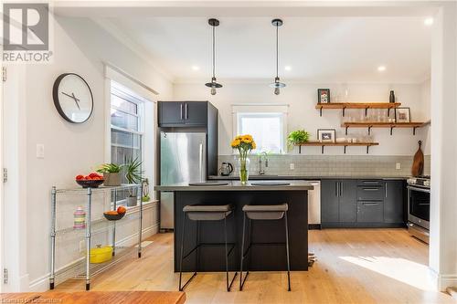 102 Alma Street, Hamilton, ON - Indoor Photo Showing Kitchen