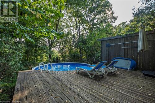 102 Alma Street, Hamilton, ON - Outdoor With Above Ground Pool