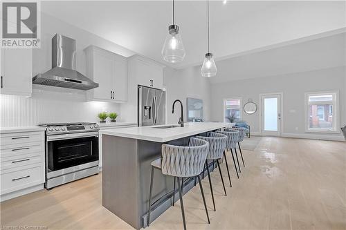 29 Magill Street, Hamilton, ON - Indoor Photo Showing Kitchen With Upgraded Kitchen