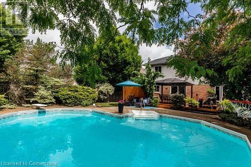 203 Bluebell Crescent, Ancaster, ON - Outdoor With In Ground Pool With Backyard