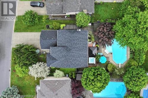 203 Bluebell Crescent, Ancaster, ON - Outdoor With In Ground Pool