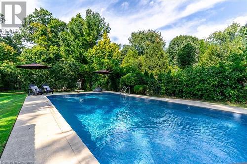 431 Patricia Drive, Burlington, ON - Outdoor With In Ground Pool With Backyard