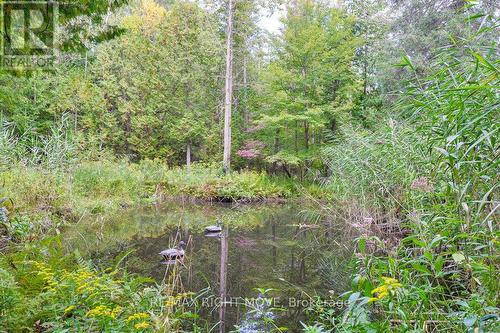 1390 Warminster Side Road, Oro-Medonte, ON - 