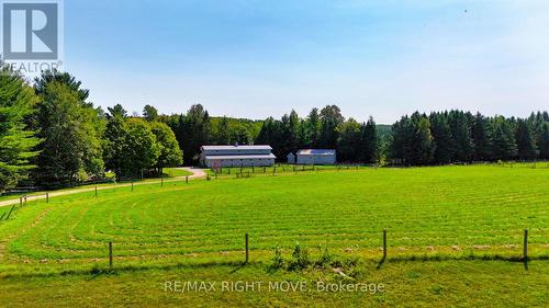 1390 Warminster Side Road, Oro-Medonte, ON - Outdoor