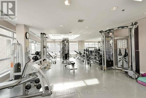 802 - 33 Elm Drive, Mississauga (Mississauga Valleys), ON - Indoor Photo Showing Gym Room